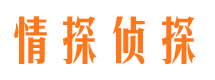 丰宁市侦探调查公司